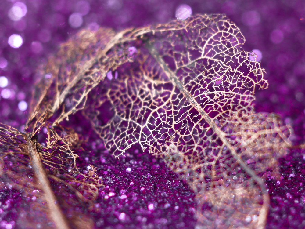 Золотая осень