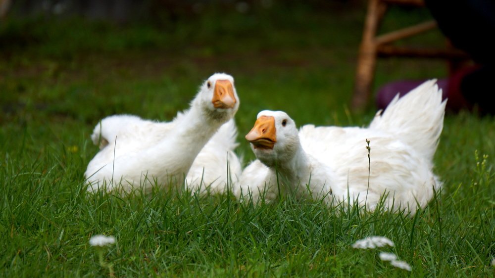 Photograph by Блюмина Елена