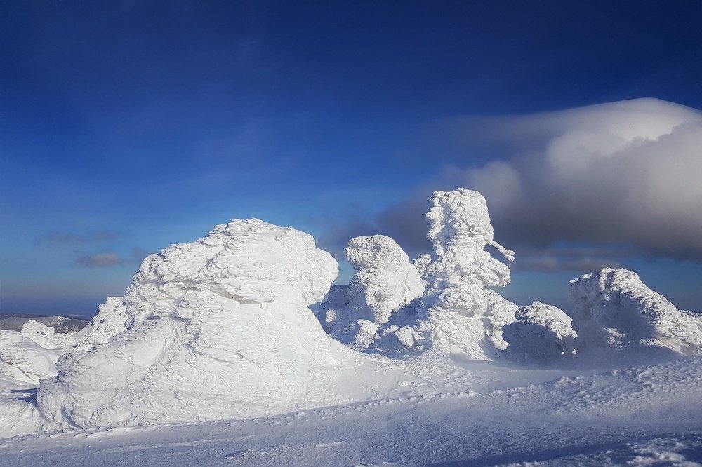 Photograph by Marcin Sokolowski - maarew