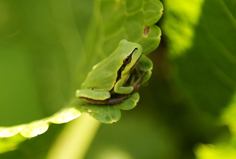 Photograph by Наталья Жалнина
