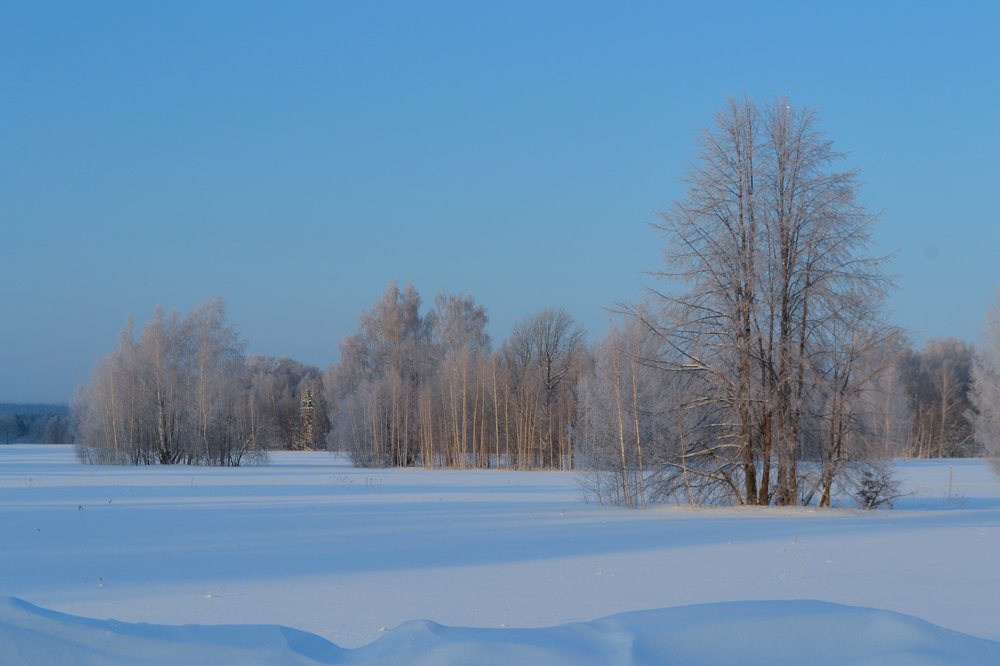 Photograph by Елена Рянцева