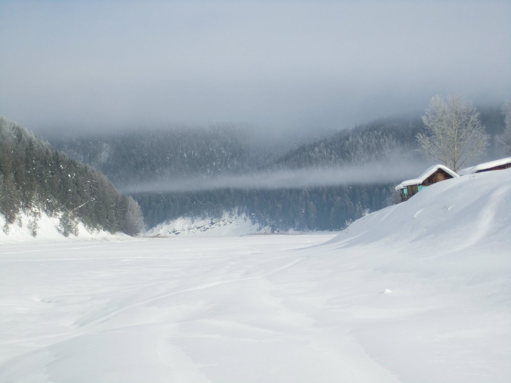 Photo #3597643