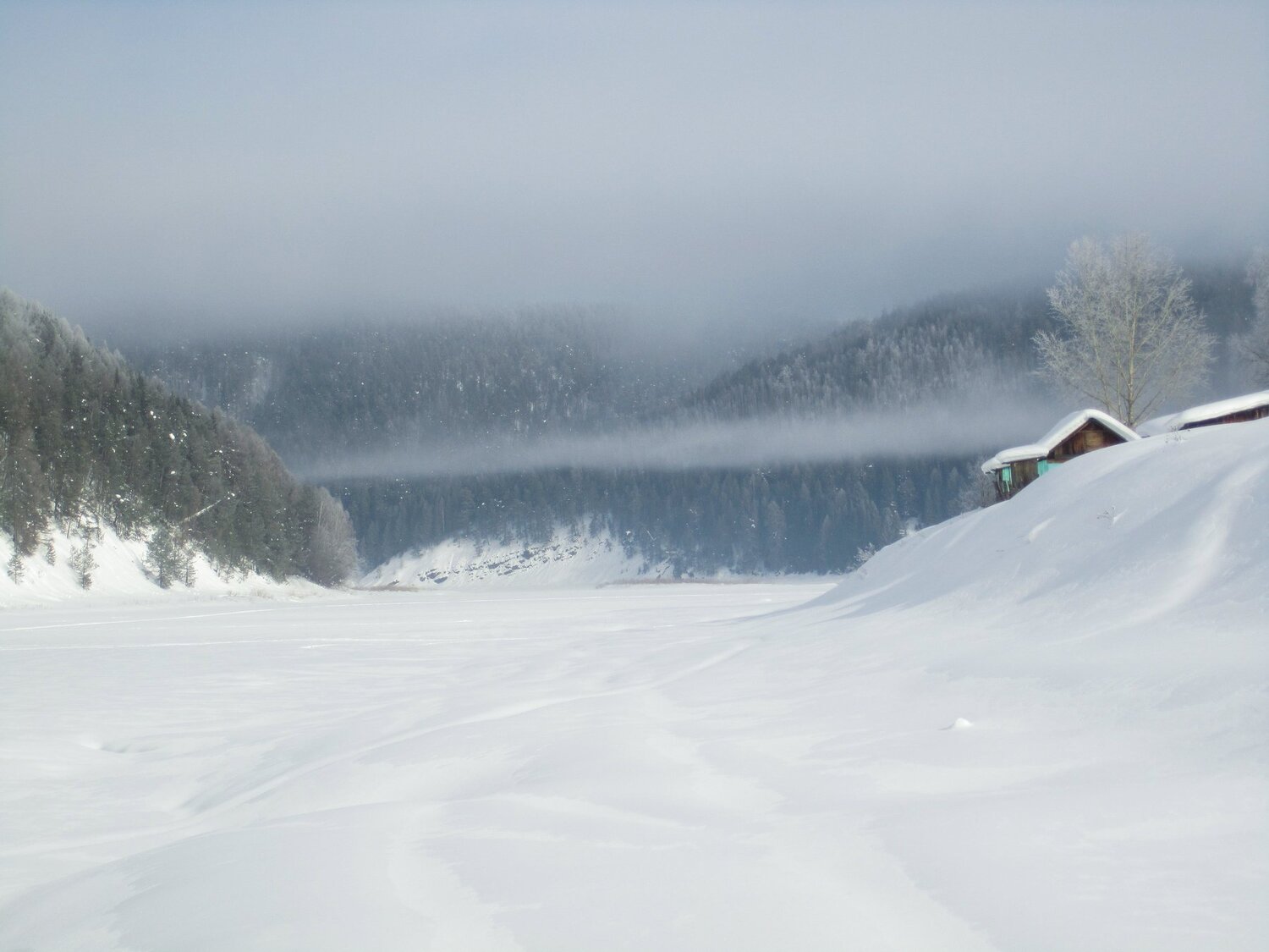 Photo #3597643