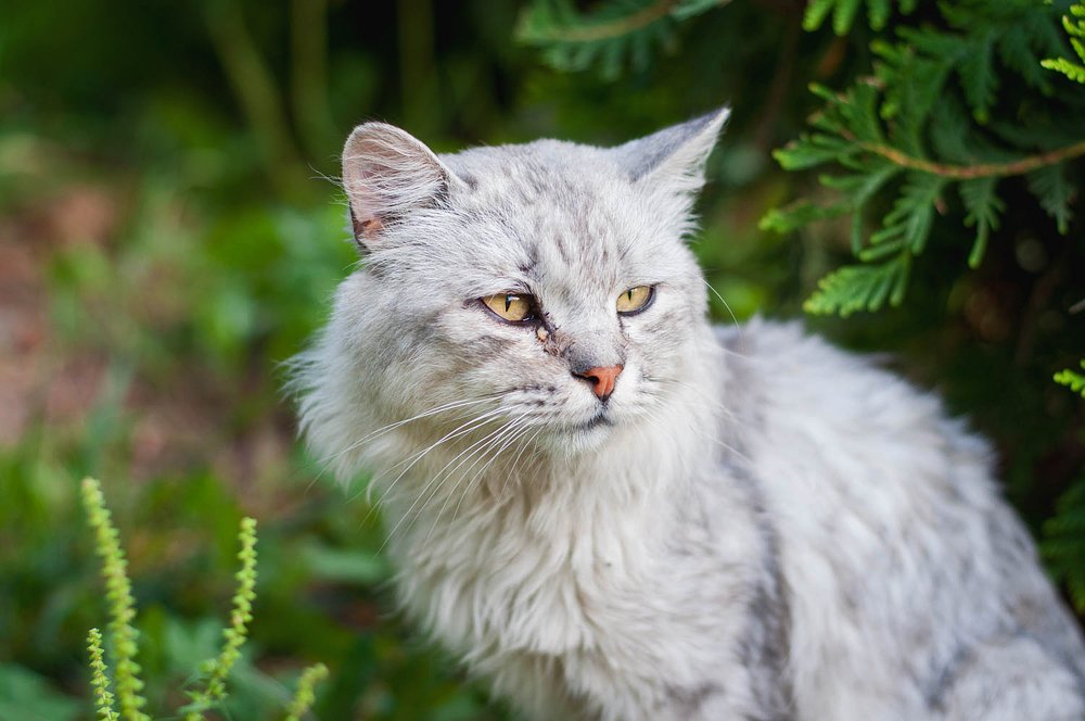 Photograph by Валерия Лосева