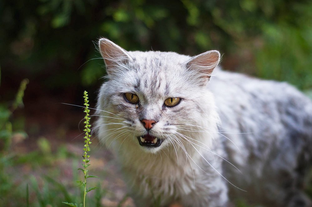Photograph by Валерия Лосева