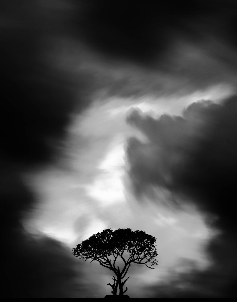 Photograph by Brian mena laureano