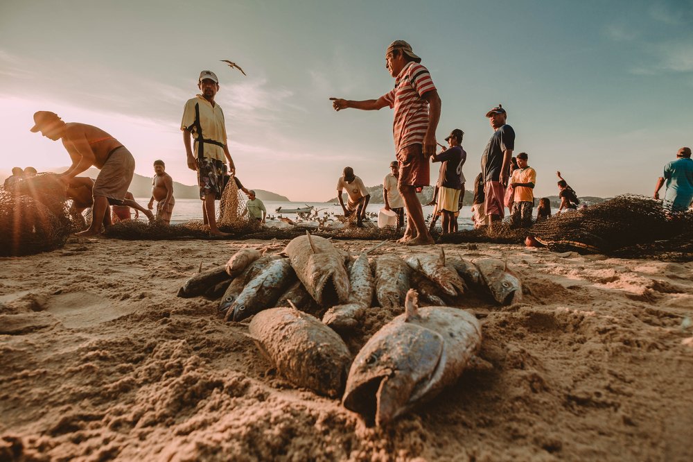 Photograph by Brian mena laureano