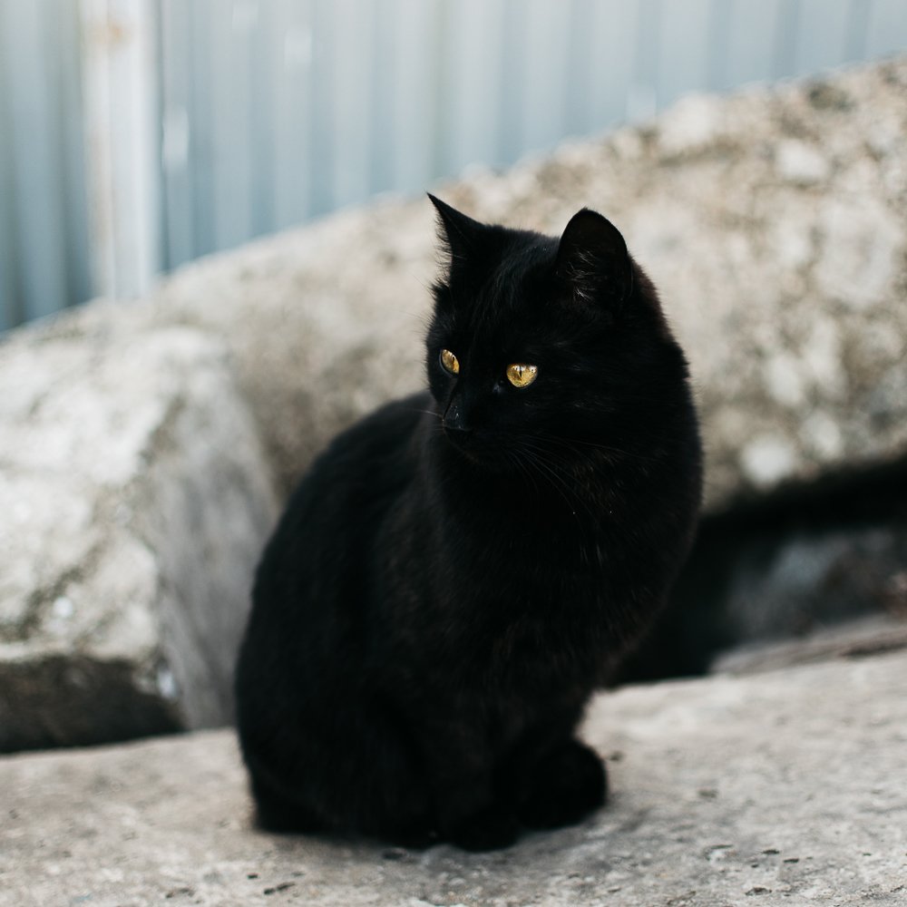 Photograph by Irena Raduga