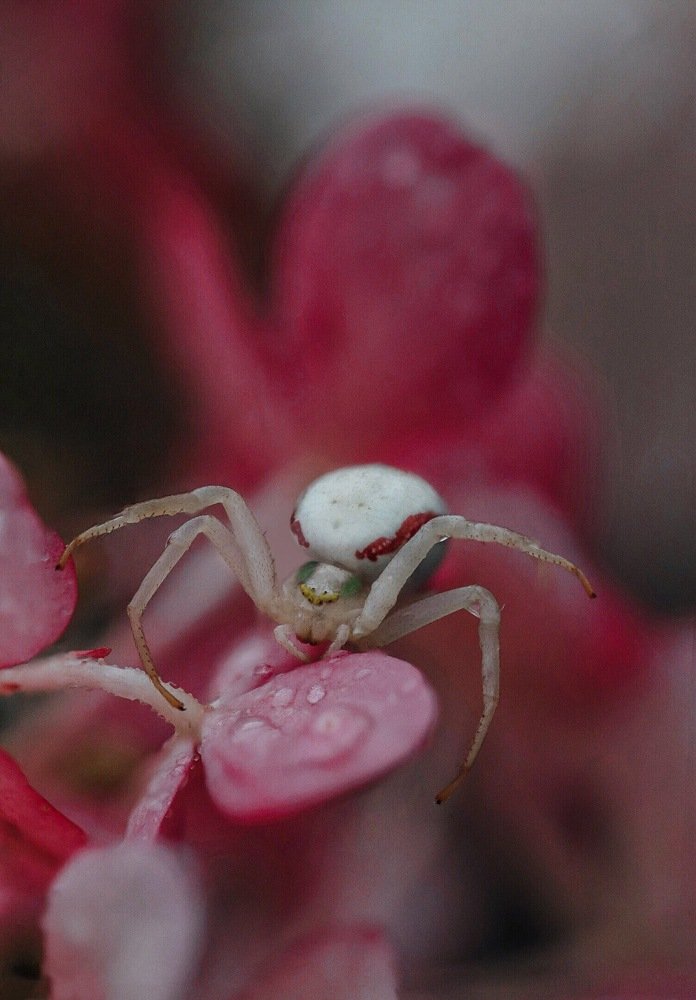 Photograph by Екатерина