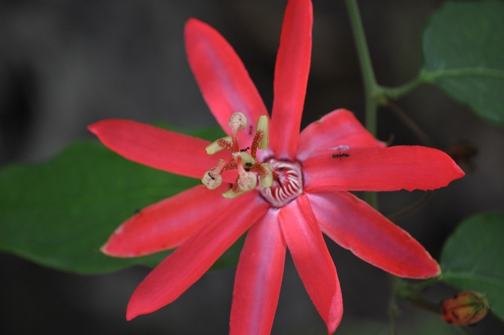 Photograph by stefanini alexis