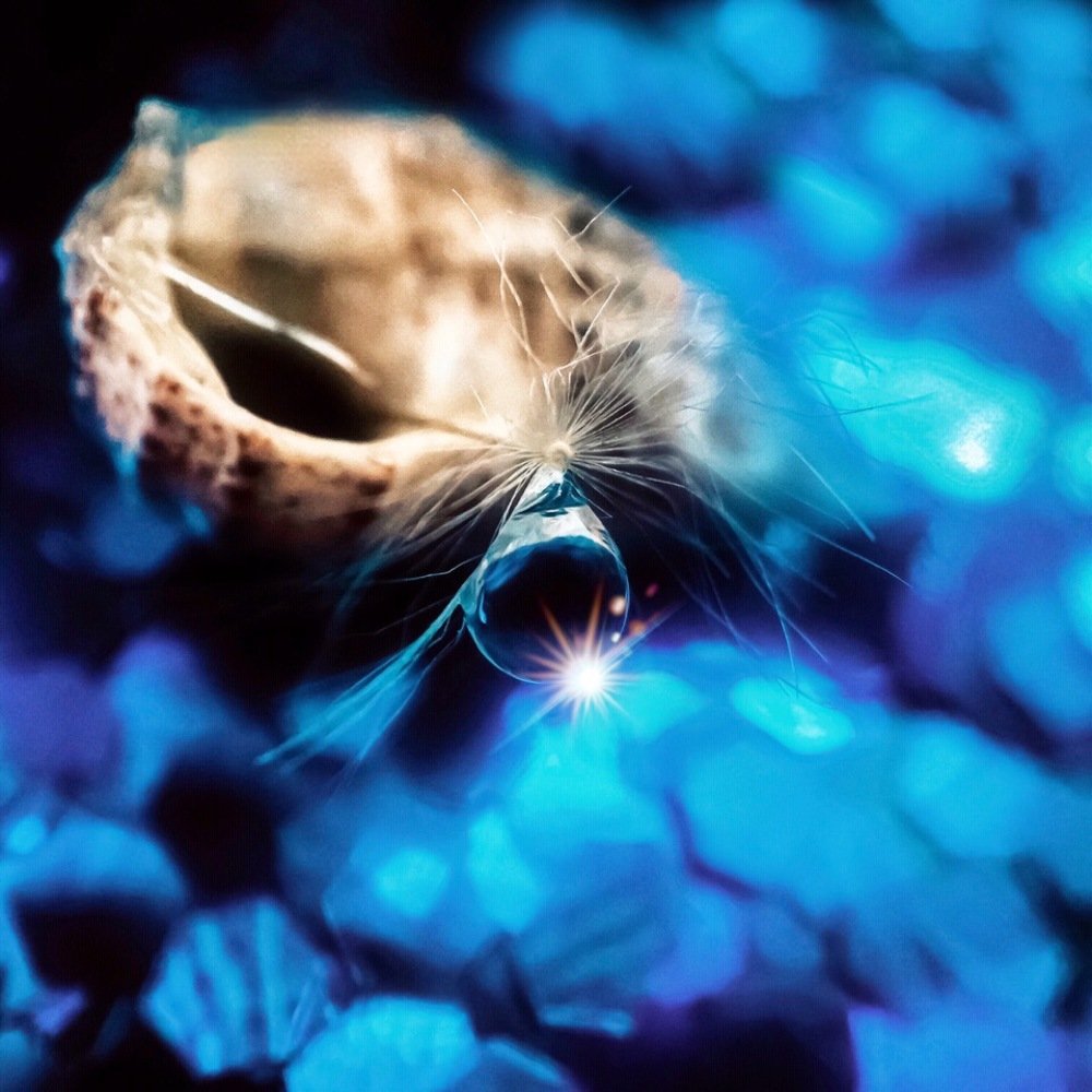 Photograph by Кристина Ковальчук