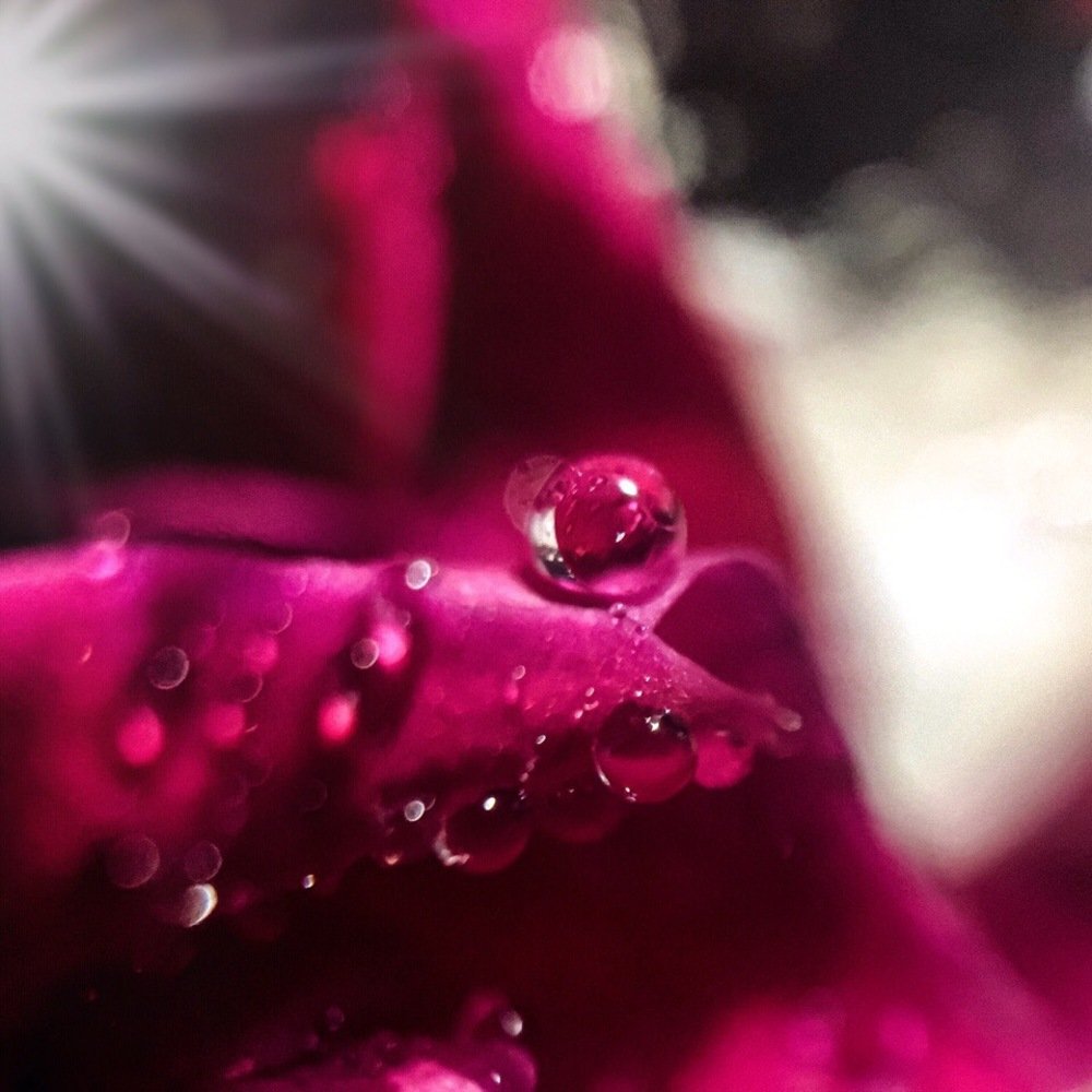 Photograph by Кристина Ковальчук