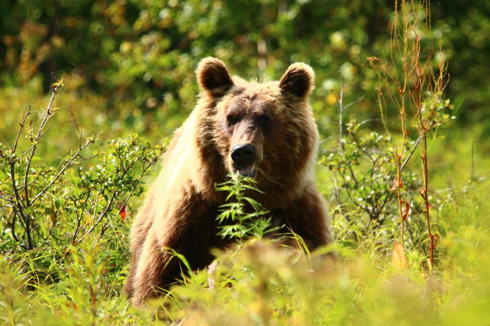 Photograph by Марго Ерёмина