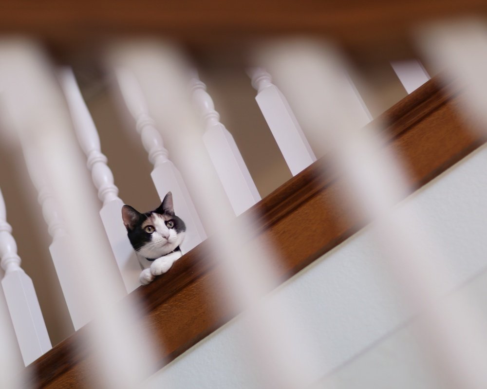 Photograph by Мирная Ксения