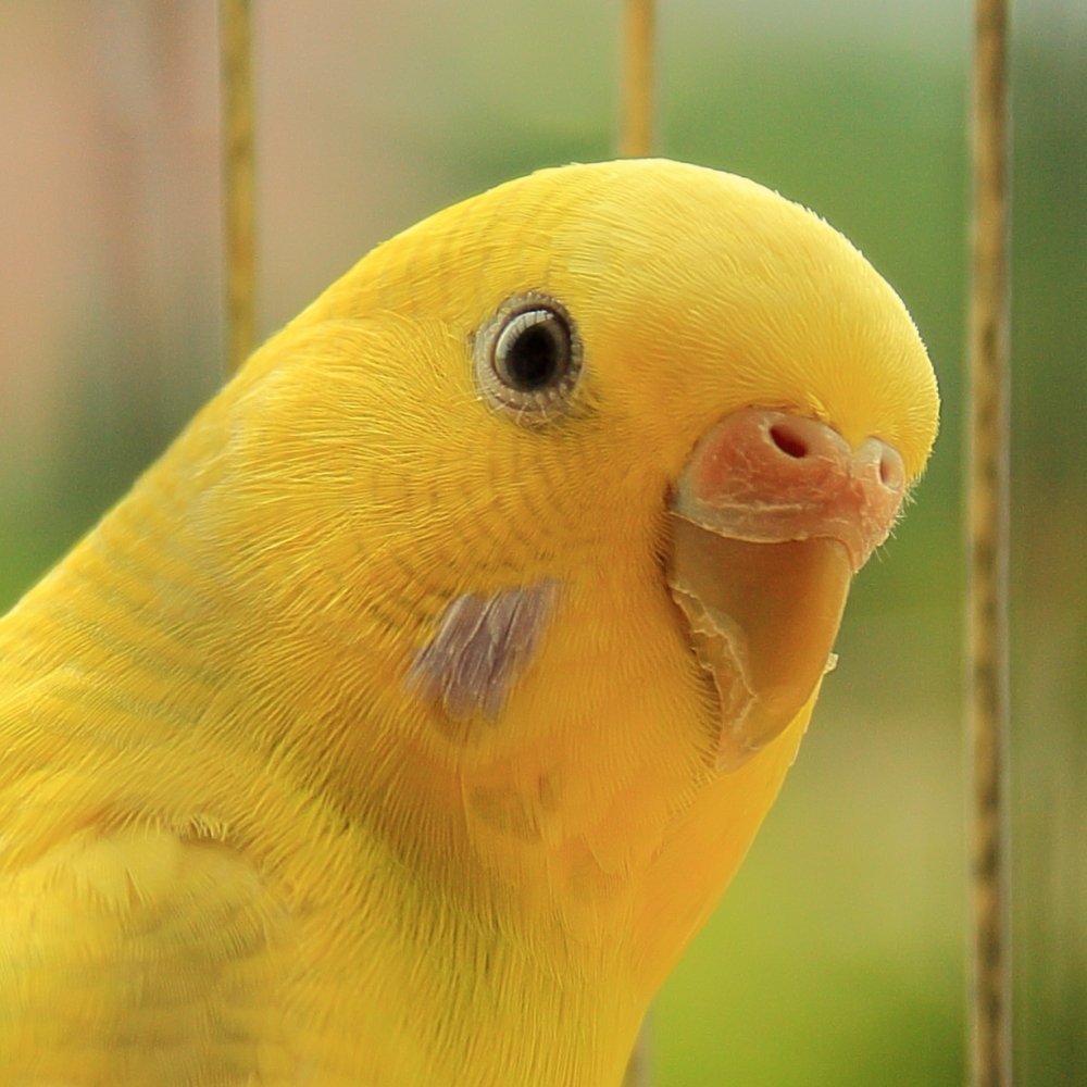 Photograph by Jhon William García Contreras