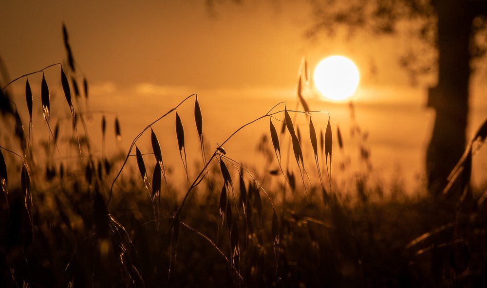 Photograph by Рымаров Александр