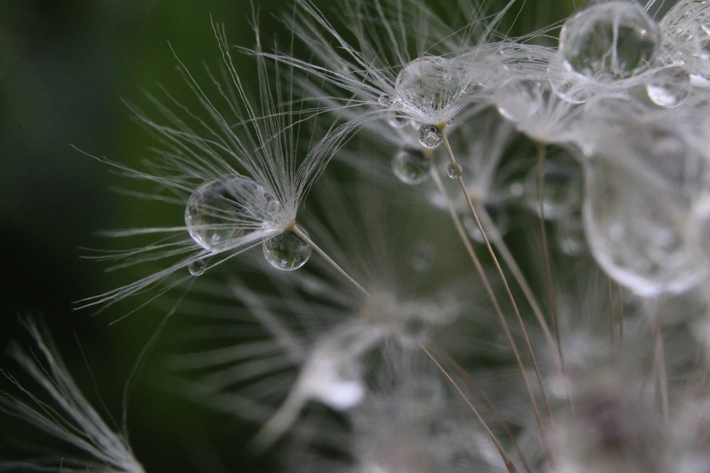 Photograph by Дарья Околова