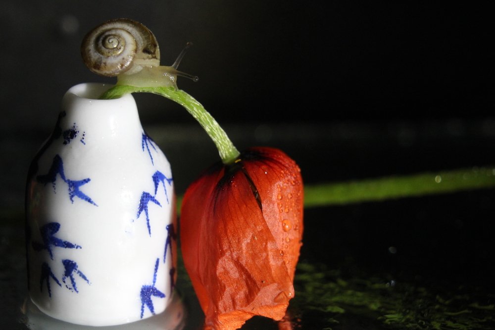 Photograph by Дарья Околова