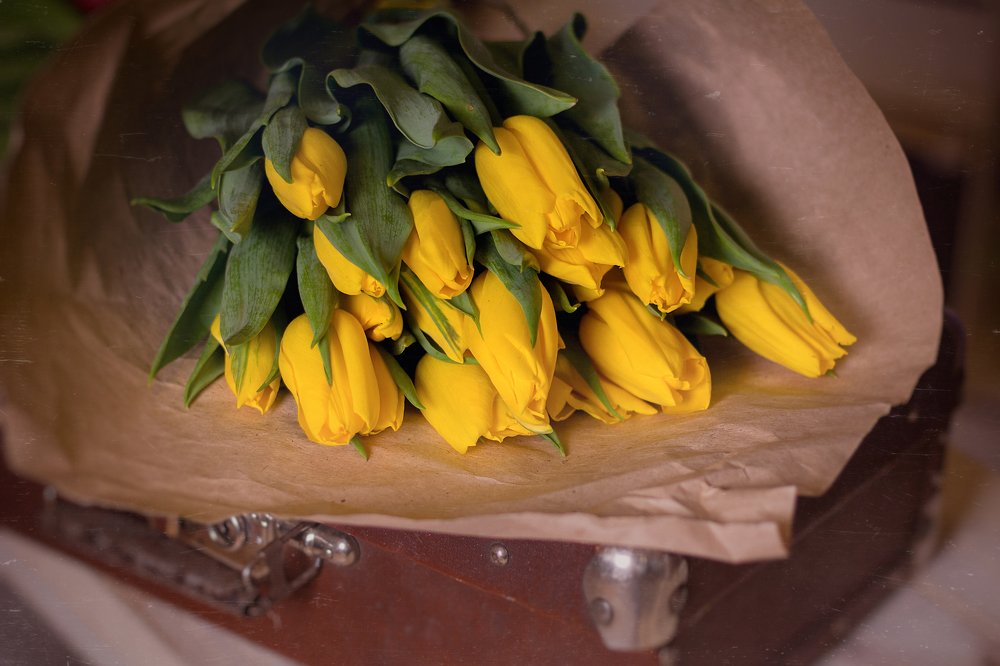 Photograph by Оксана Новицкая