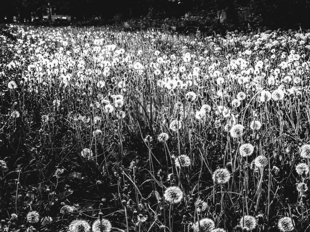 Photograph by Сергей Воронин