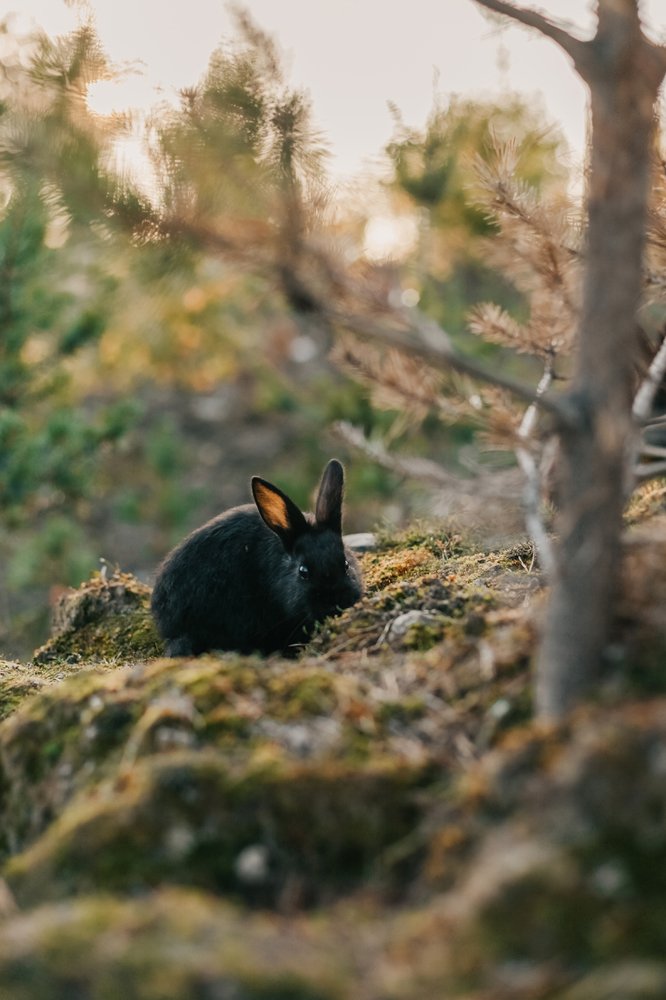 Photograph by Елена Абрамова