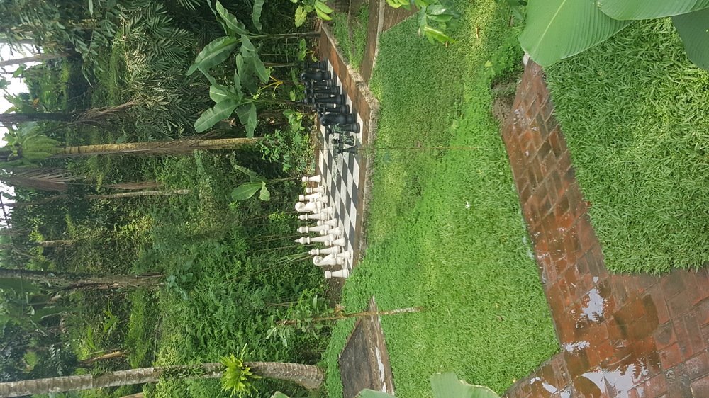 Photo #3598164
