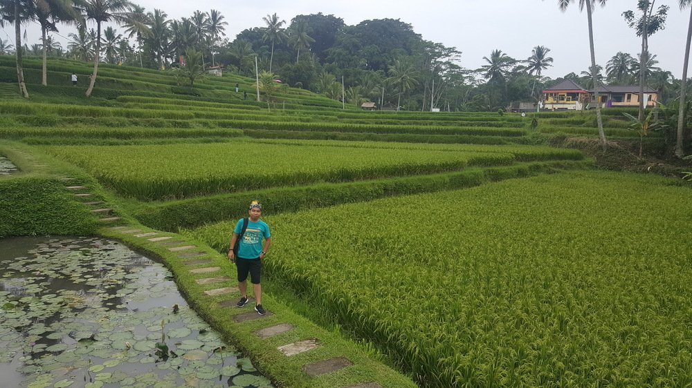Photo #3598171