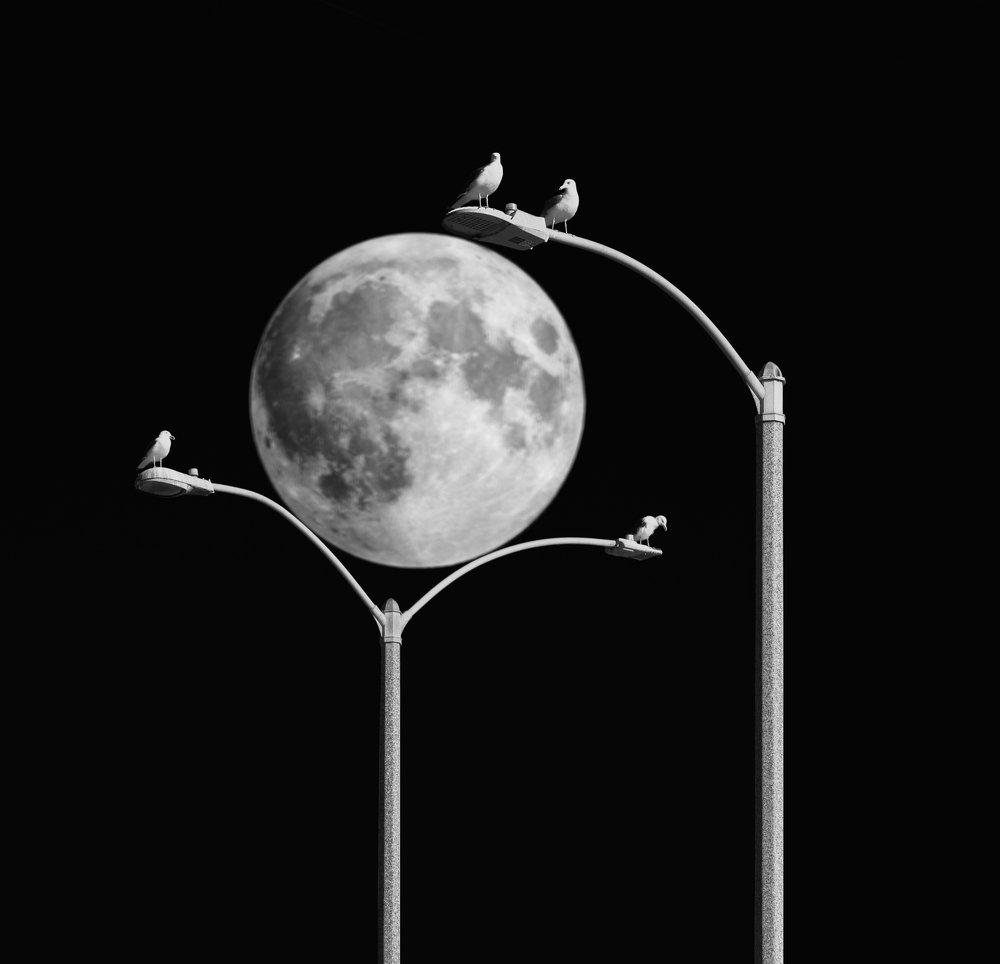 Photograph by Ашот Григорян