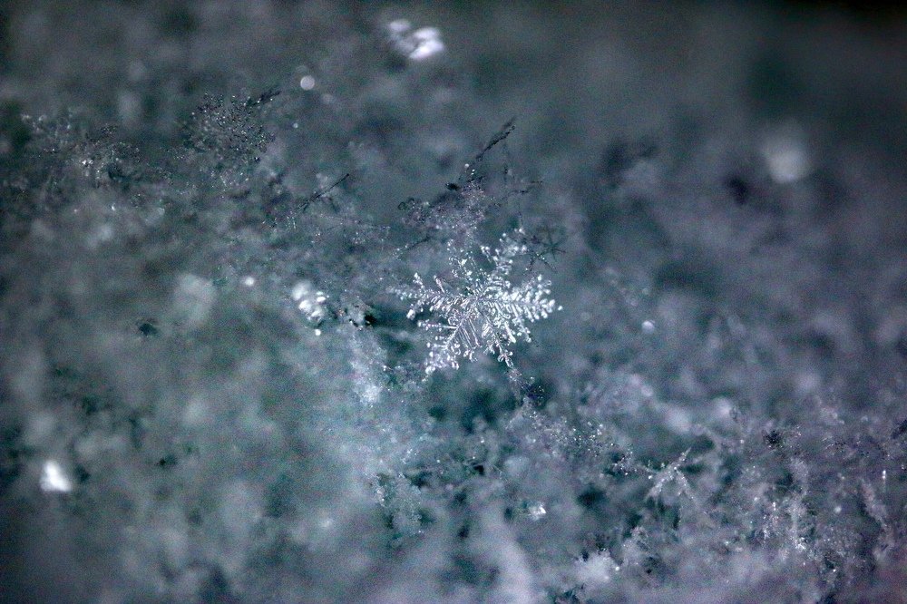 Photograph by Марго Ерёмина