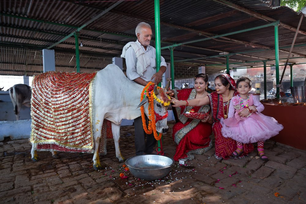 Фотография автора pramod malviya