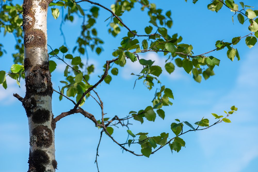 Photograph by Кадырова Марина