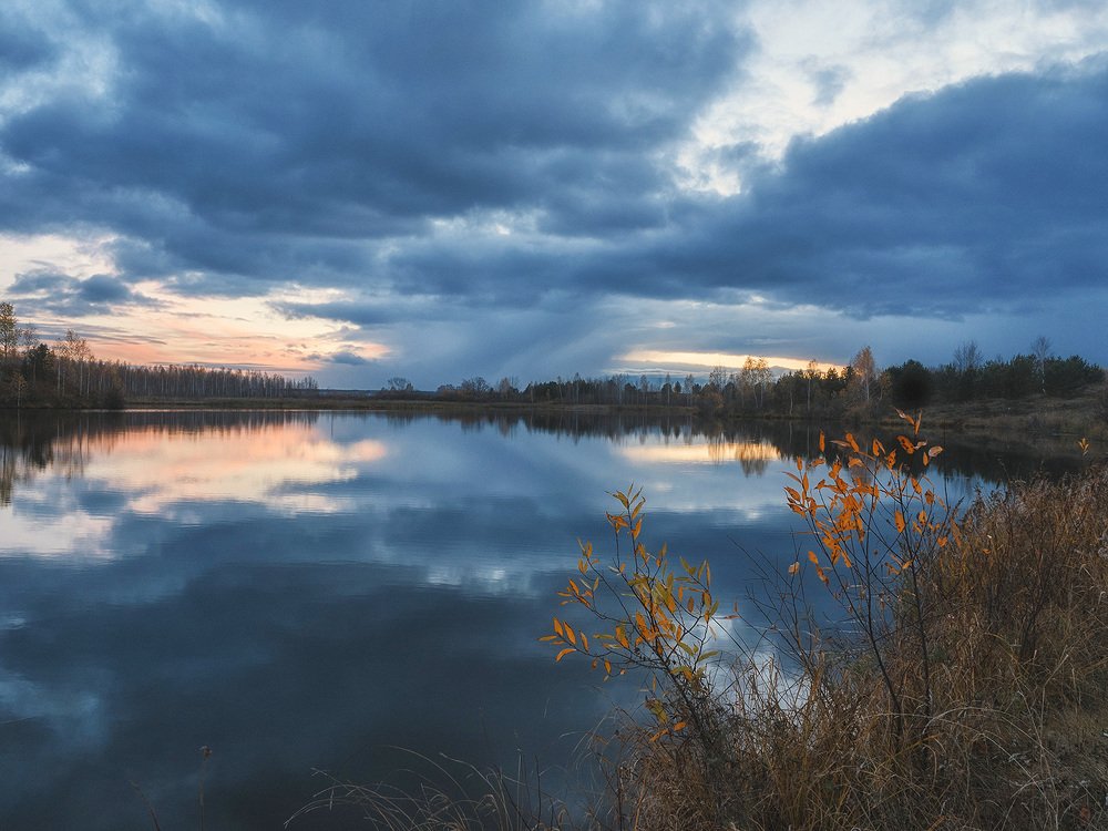 Зеркало пруда