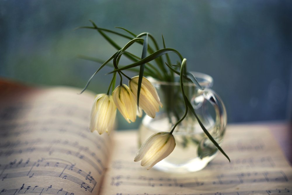 Нежность весны.