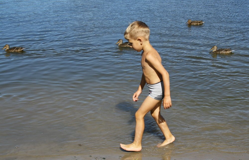 Photograph by Владимир Сафронов