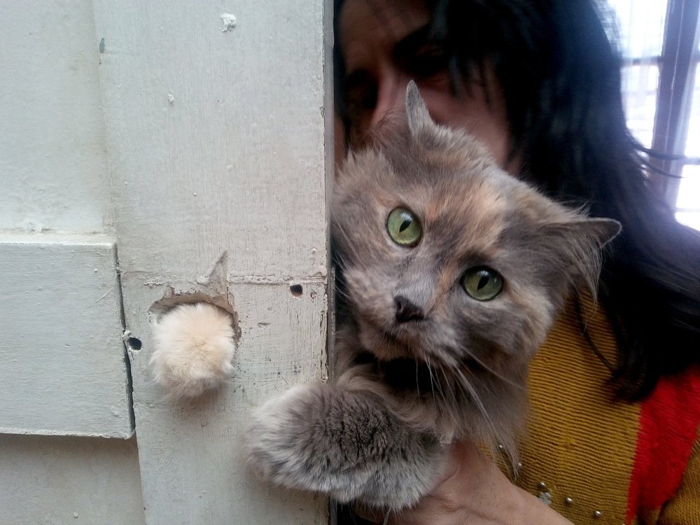 Photograph by Igor Patzi