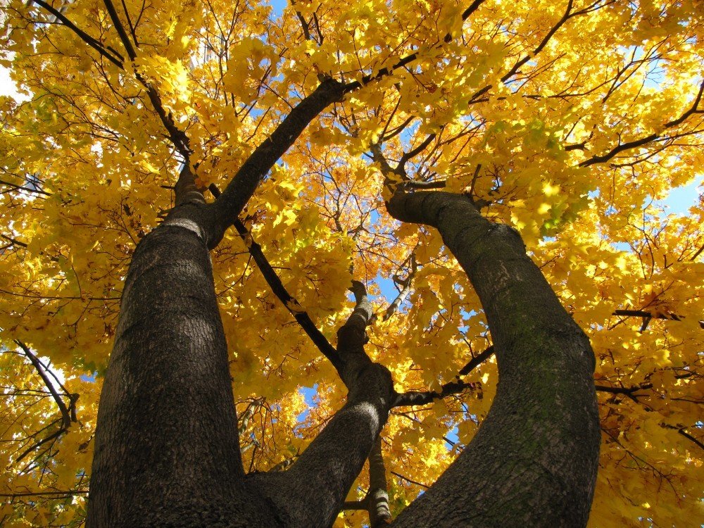 Photograph by Андрей