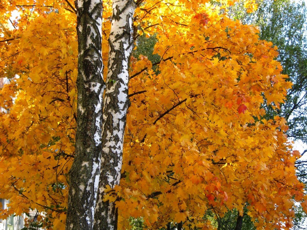 Photograph by Андрей