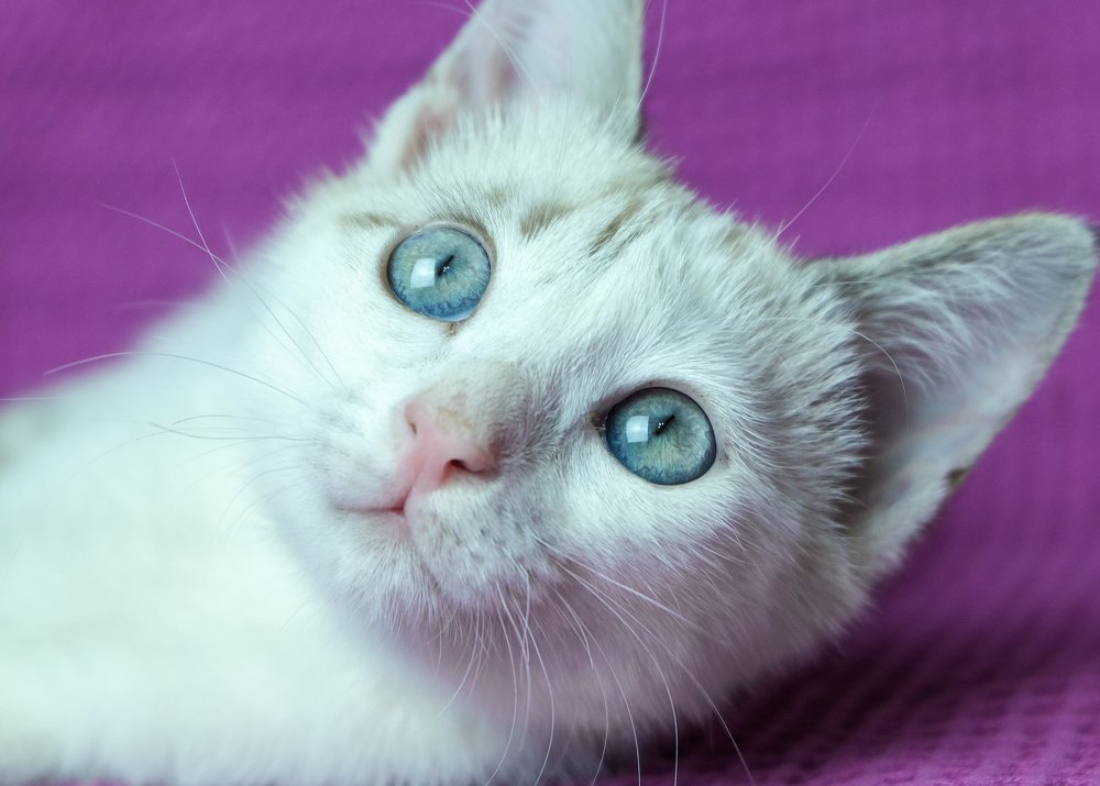 Photograph by Данил Мандрыгин