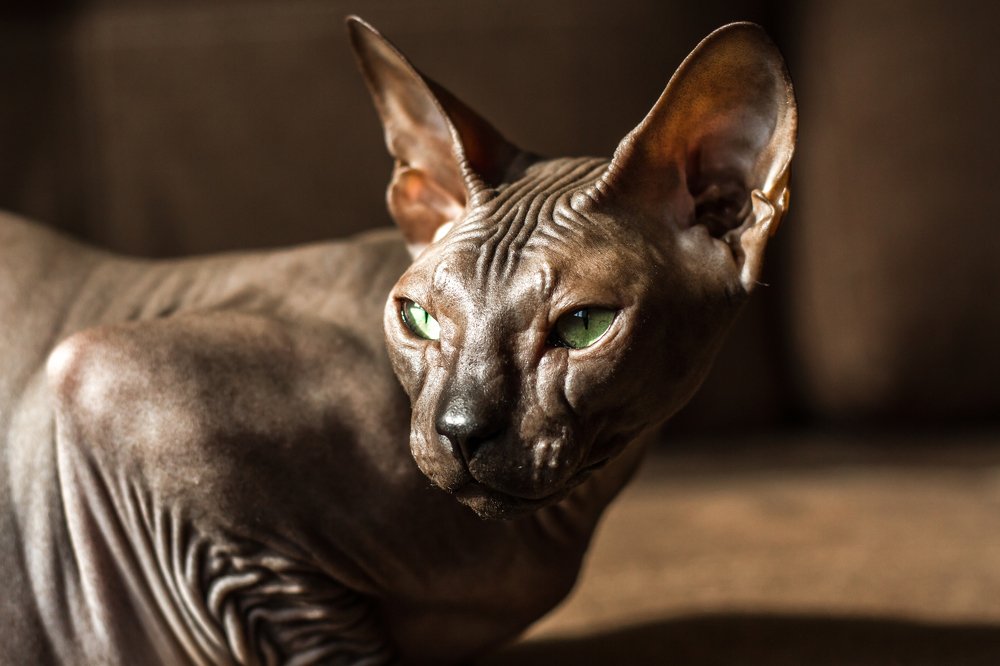 Фотография автора Vyacheslav Lozhkin