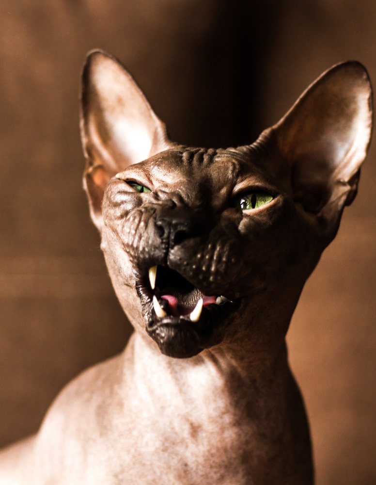 Фотография автора Vyacheslav Lozhkin