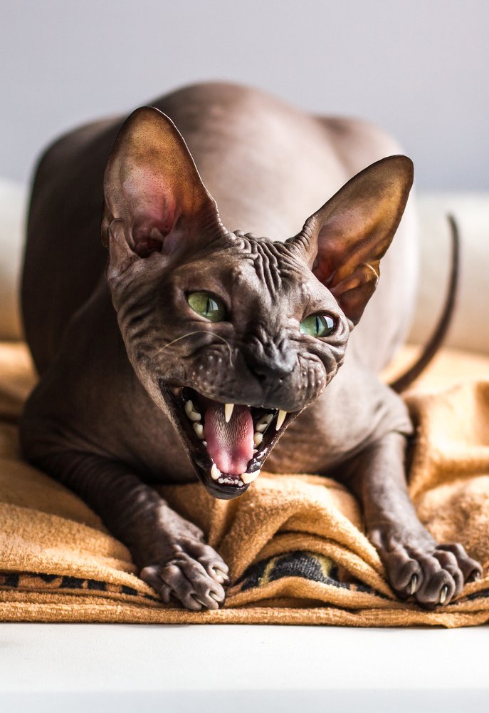 Фотография автора Vyacheslav Lozhkin