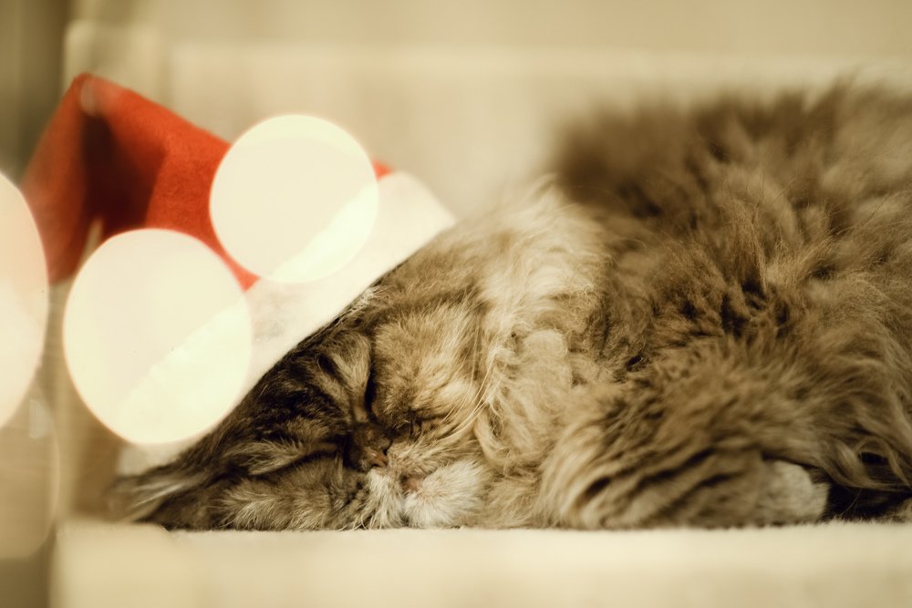 Photograph by Мира Гимаева