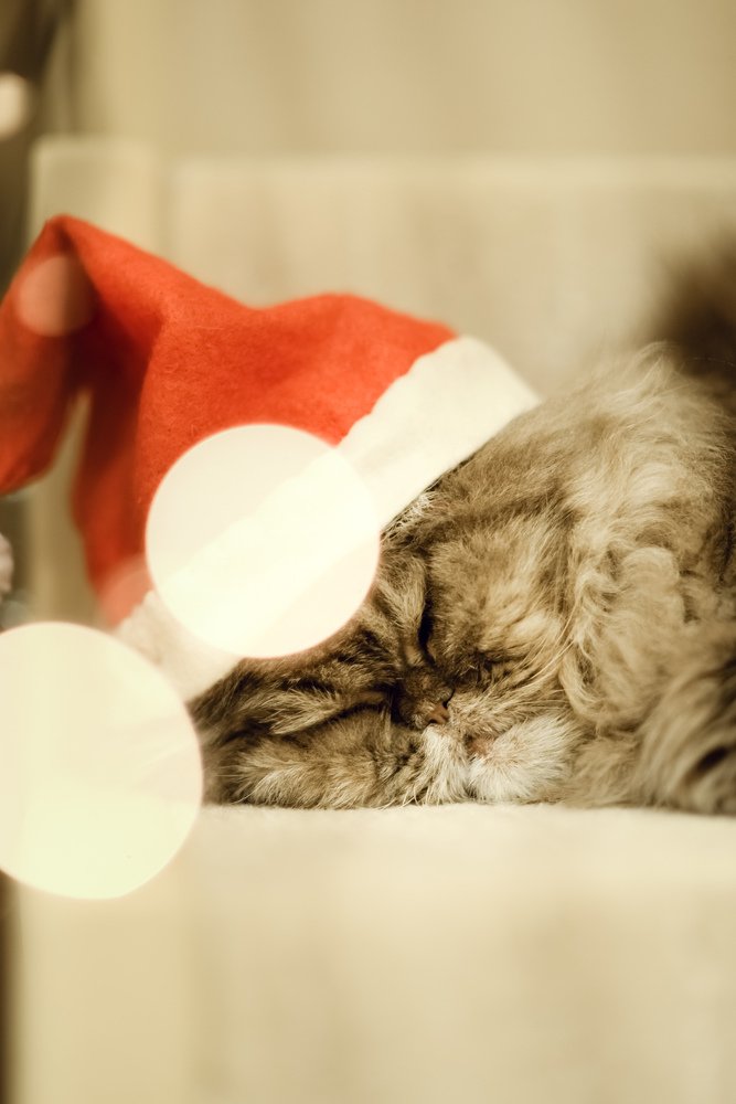 Photograph by Мира Гимаева