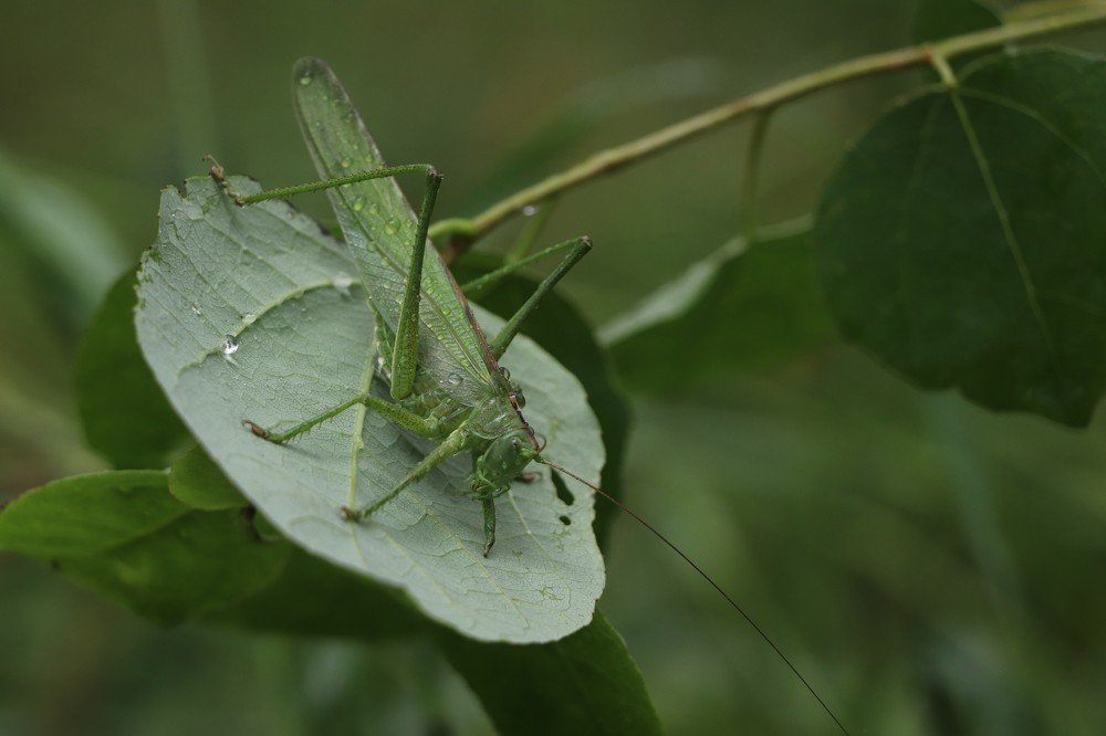 Photograph by Вера Ткачева