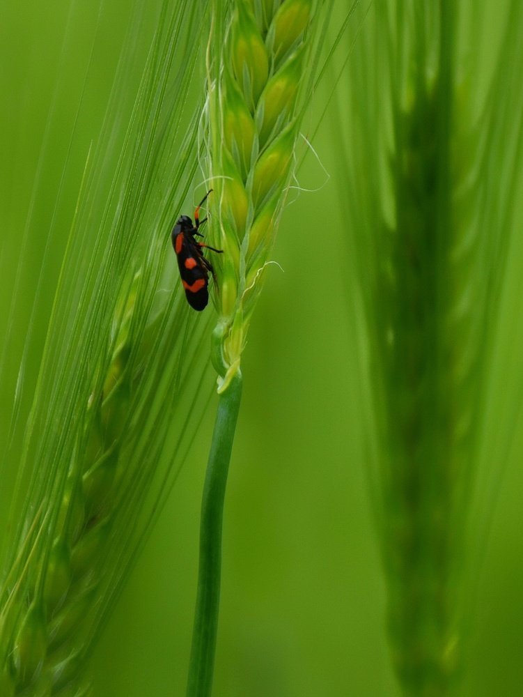 Photograph by seyyed mohammad andy