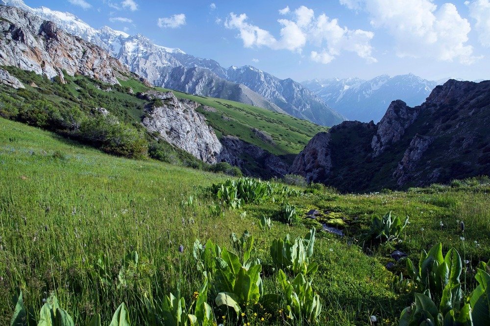 Небесные горы