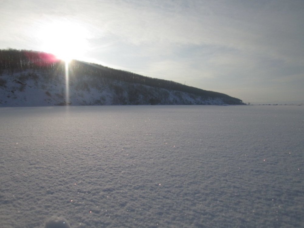 Photo #3598634