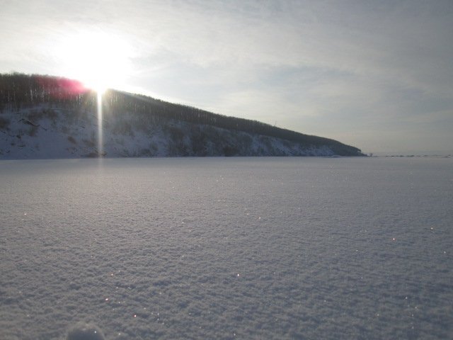 Photo #3598634