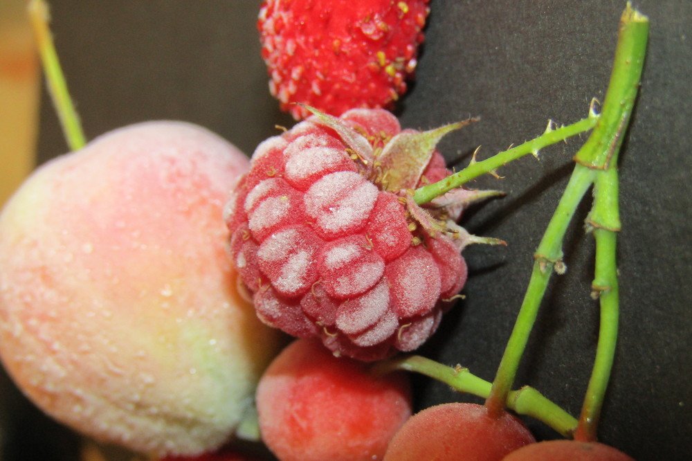 Photograph by Мария Глотова