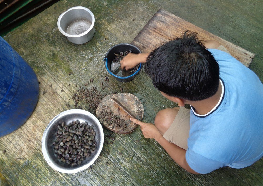 A Rakhine man is cutting Maruit (Snail) buttock